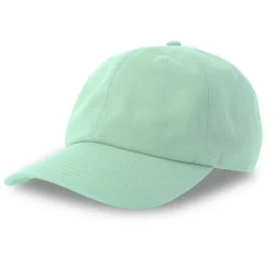 ATLANTIS HEADWEAR AT254 - Casquette baseball 6 pans