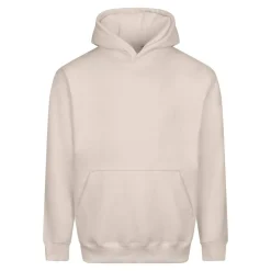 AWDIS JH111 - Sweat à capuche épais