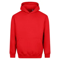 AWDIS JH111 - Sweat à capuche épais