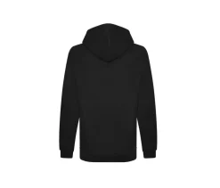 AWDIS JH201 - Sweat capuche en coton biologique