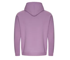 AWDIS JH201 - Sweat capuche en coton biologique