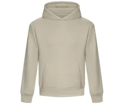 AWDIS JH120 - Sweat capuche lourd