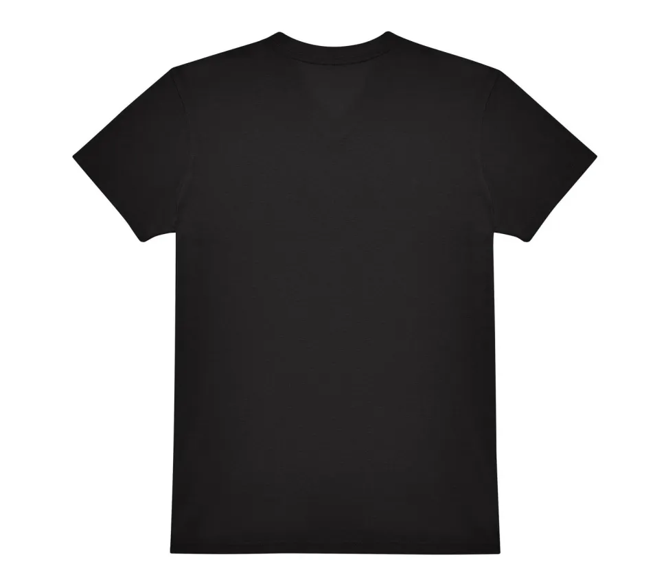 B&C BC01V - Tee-shirt homme col V 150