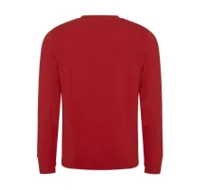 ECOLOGIE EA030 - Sweat en coton recyclé
