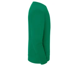 FRUIT OF THE LOOM SC2292 - Sweat manches droites 250