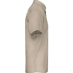Kariban K551 - ACE ><noscript><img width=