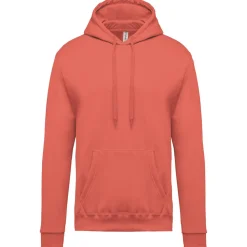 Kariban K476 - Sweat-shirt capuche homme
