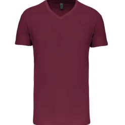 Kariban K3028IC - T-shirt Bio150IC col V homme