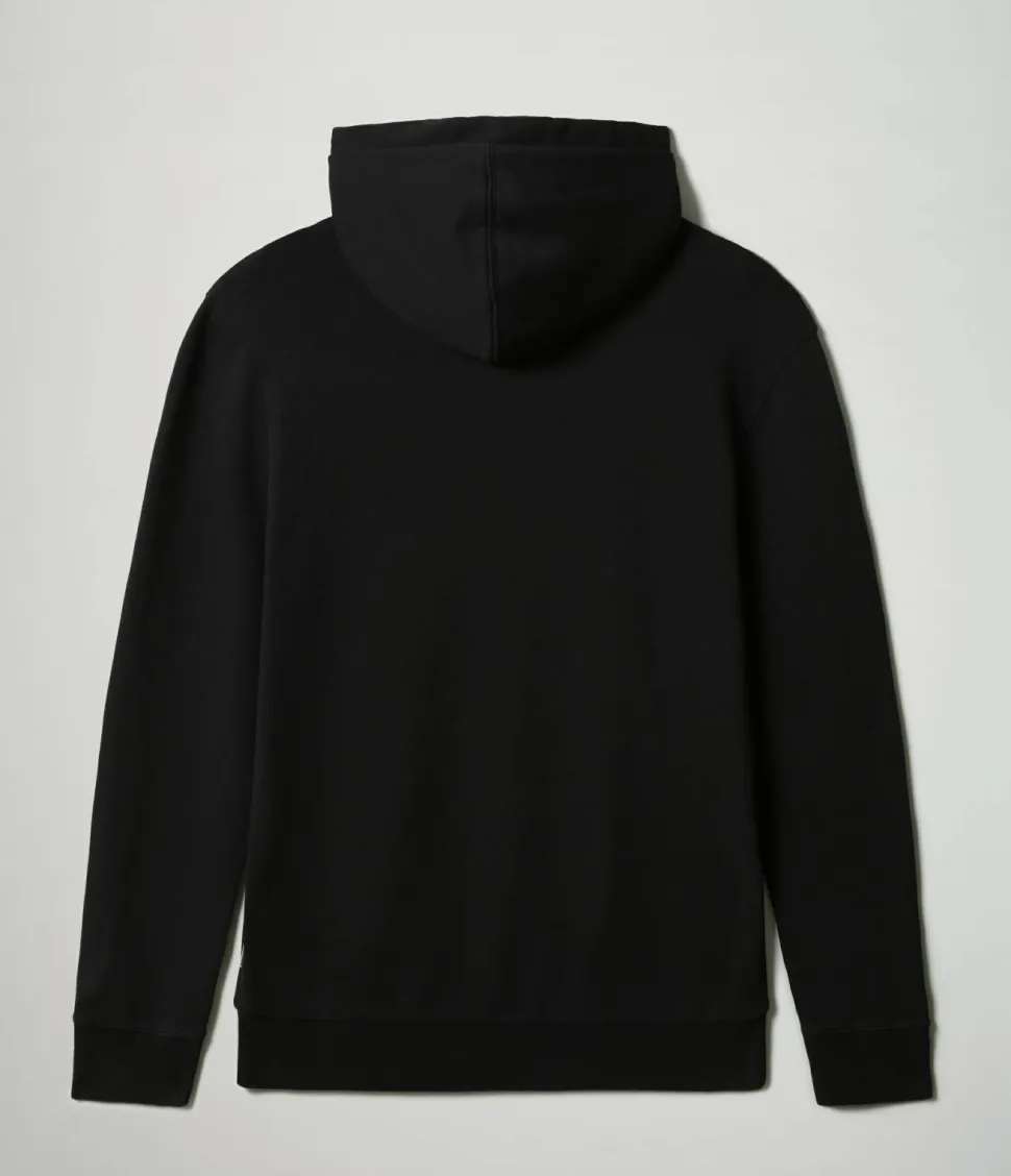 NAPAPIJRI NP0A4F9F - Sweat à capuche Burgee SUM 3