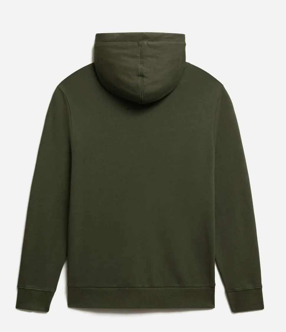 NAPAPIJRI NP0A4F9F - Sweat à capuche Burgee SUM 3