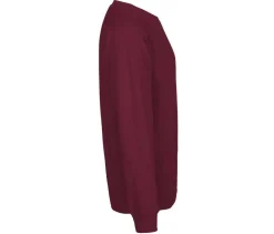 NEUTRAL O63001 - Sweatshirt Mixte Confort en Coton Bio