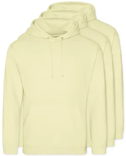 Pack de 30 AWDis Just Hoods JH001 - Sweat à Capuche Confort et Style Unisexe