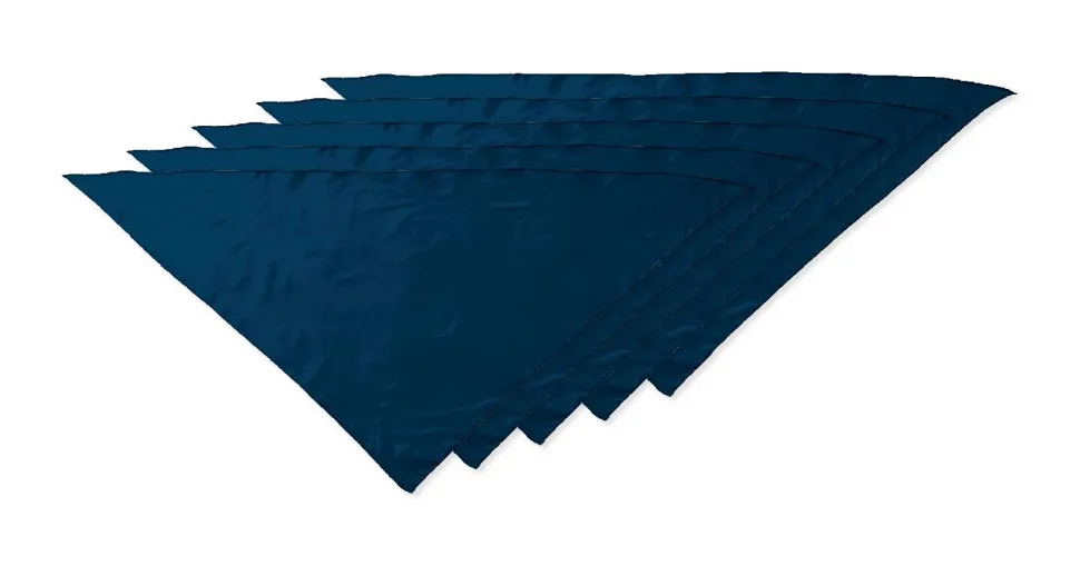 Pack de 50 Valento PNVAFIE - Foulard triangulaire FIESTA