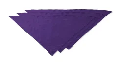 Pack de 30 Valento PNVAFIE - Foulard triangulaire FIESTA