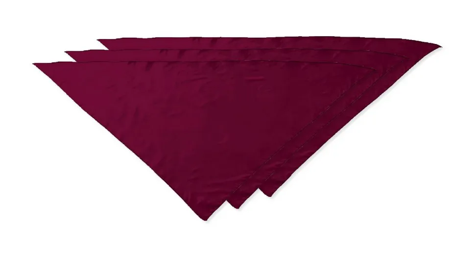 Pack de 30 Valento PNVAFIE - Foulard triangulaire FIESTA