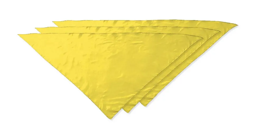 Pack de 30 Valento PNVAFIE - Foulard triangulaire FIESTA