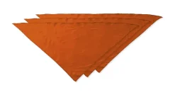 Pack de 30 Valento PNVAFIE - Foulard triangulaire FIESTA