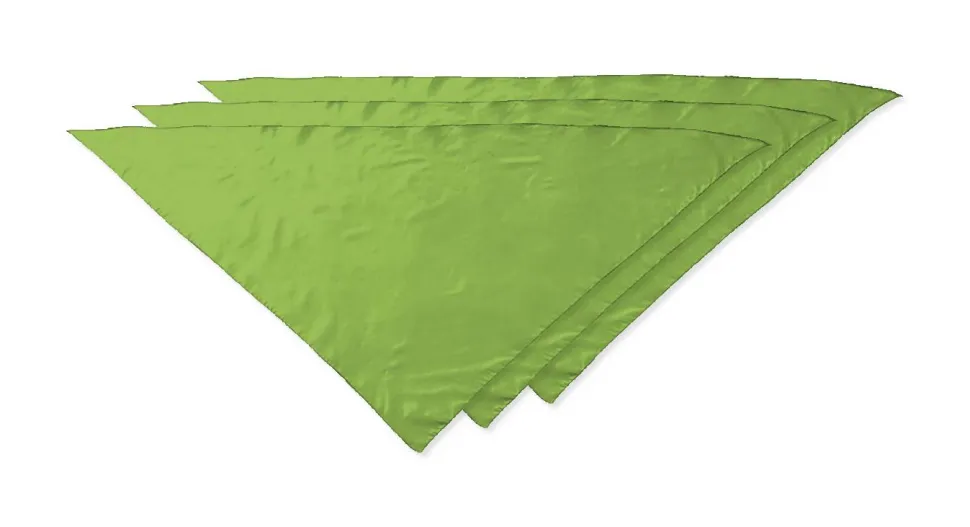 Pack de 30 Valento PNVAFIE - Foulard triangulaire FIESTA