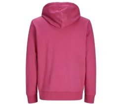 PRODUKT JACK & JONES JJ3902 - Sweat à capuche unisexe