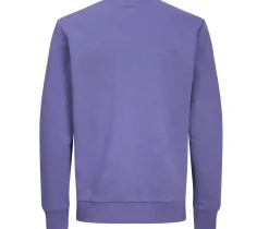 PRODUKT JACK & JONES JJ3900 - Sweat col rond unisexe