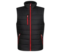 REGATTA RGA892 - Bodywarmer matelassé homme