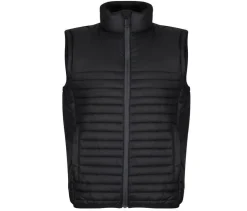 REGATTA RGA861 - Bodywarmer matelassé en polyester recyclé