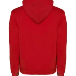Roly R1067 - Sweat à capuche Urban pour homme