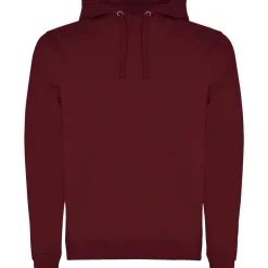 Roly R1067 - Sweat à capuche Urban pour homme