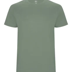 Roly R6681 - T-shirt Stafford à manches courtes pour homme