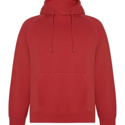 Roly SU1074 - Hoodie Éco-Responsable Mixte en Coton Bio et Polyester Recyclé