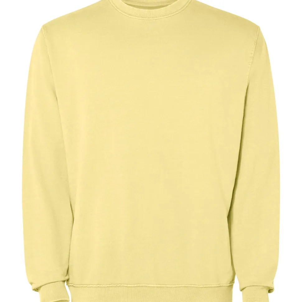 Roly SU2203 - JAYA Sweatshirt unisexe à col rond en coton lavé non gratté