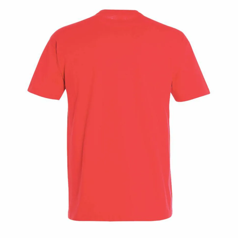 SOL'S 11500 - T-shirt Col Rond Homme Impérial Confort - qualité supérieure - coton semi-peigné