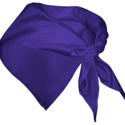 Stamina PN9003 - FESTERO Foulard triangulaire
