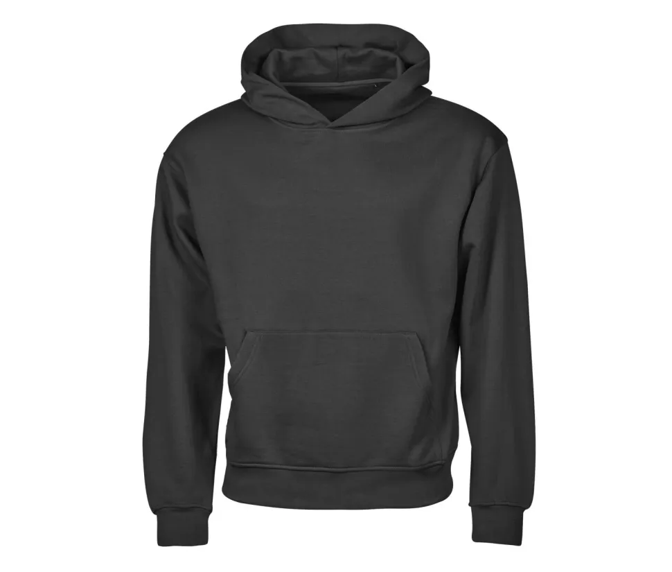 TEE JAYS TJ5162 - Sweat à capuche urbain ample
