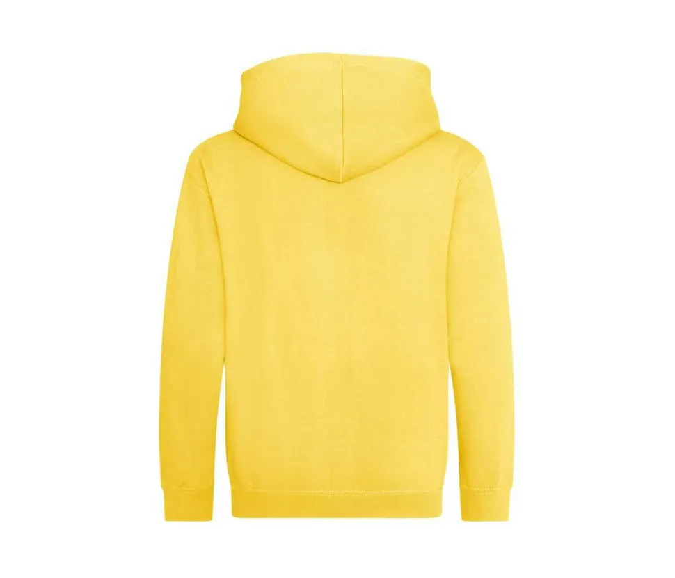 AWDIS JH050J - Sweat à Capuche avec Zip Invisible et Doublure
