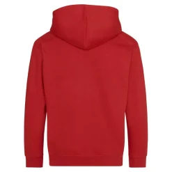 AWDIS JH050J - Sweat à Capuche avec Zip Invisible et Doublure