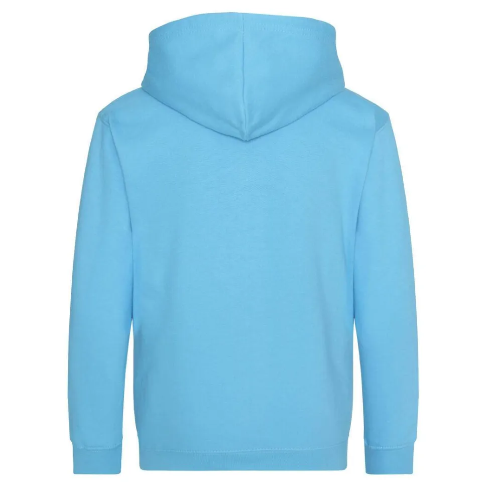 AWDIS JH050J - Sweat à Capuche avec Zip Invisible et Doublure