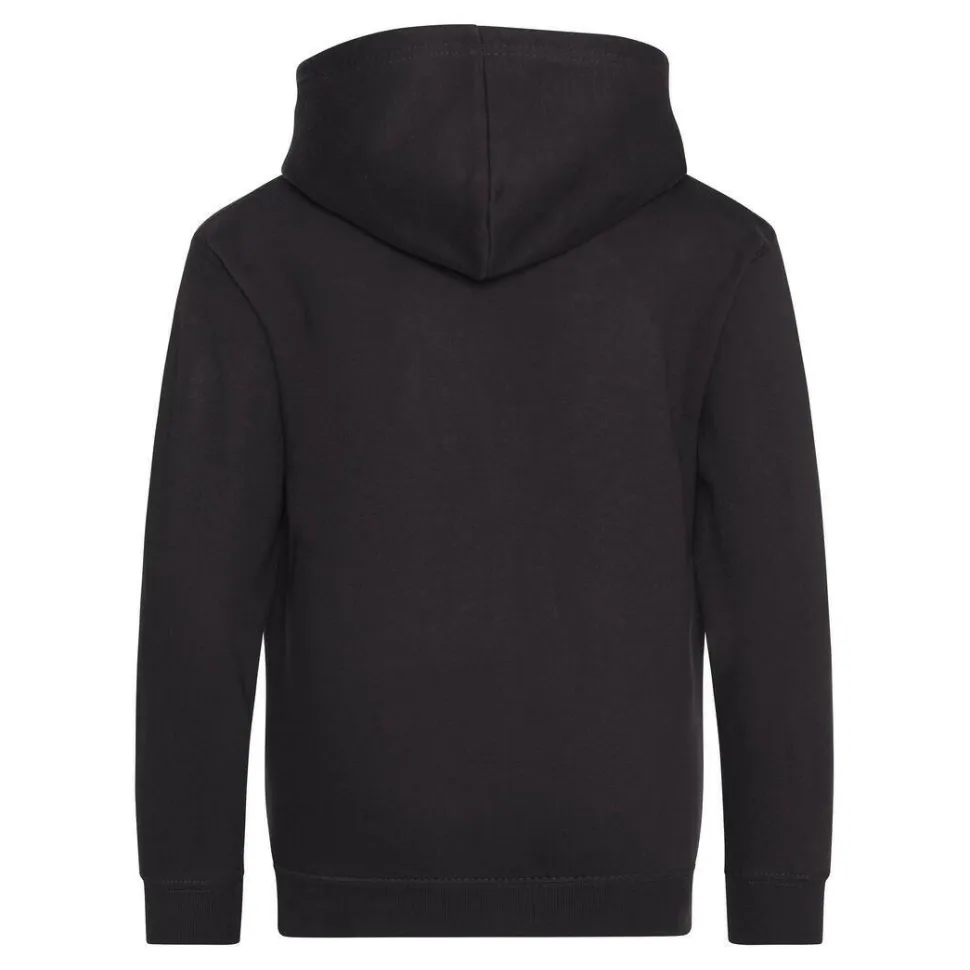 AWDIS JH050J - Sweat à Capuche avec Zip Invisible et Doublure