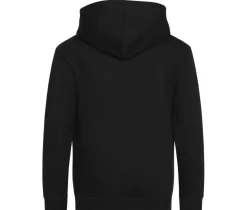 AWDIS JH050J - Sweat à Capuche avec Zip Invisible et Doublure
