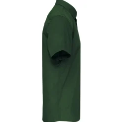 Kariban K551 - ACE ><noscript><img data-lazyloaded=